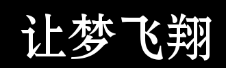 飞_100字