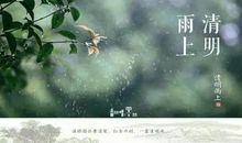 清明时节雨_700字