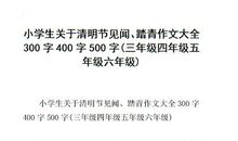 清明节初中英语作文60词_300字