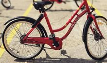 单车上的青春_900字