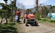 向往农村生活，喜爱城市生活_500字