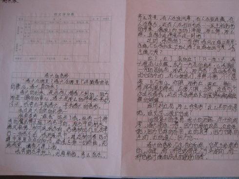 二十年日_450字