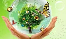 保护地球 低碳生活_450字