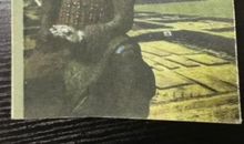 雍城风韵_1200字