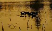 沉浸我心_2000字