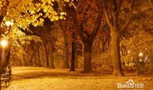 秋天，一个伤感的季节_200字