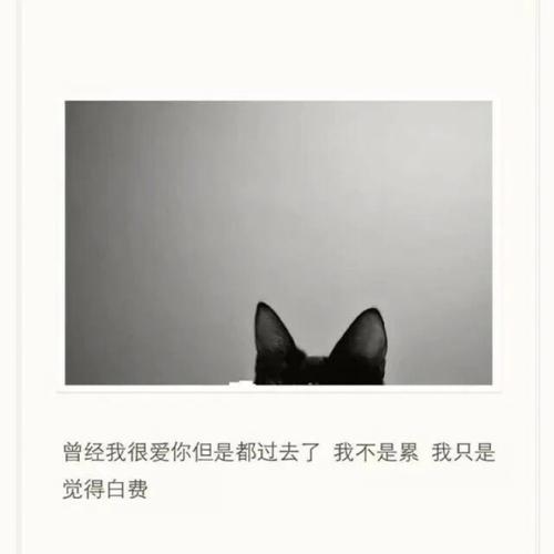 大压_700字