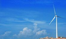 一起去流浪_550字