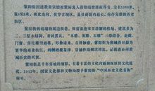 执拗的保护_750字