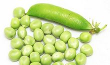 第三、四颗豌豆_800字