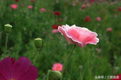 “全省社会”演讲_450字
