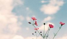 春天的希望_500字