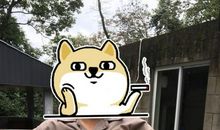 我的“熊猫”眼_900字