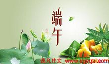 今年的端午节_450字