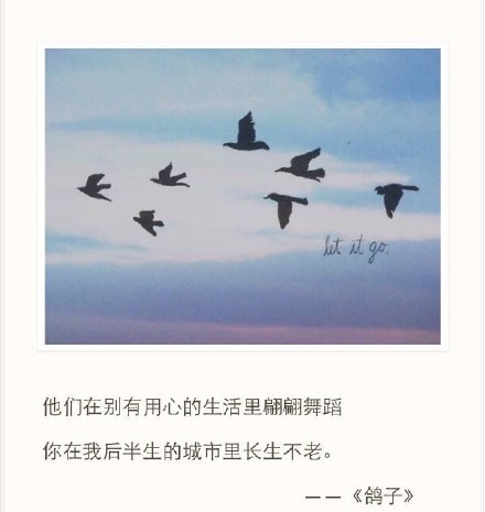 心的歌是歌曲_700字