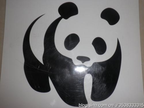 我发现了青蛙的秘密_700字