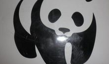 我发现了青蛙的秘密_700字