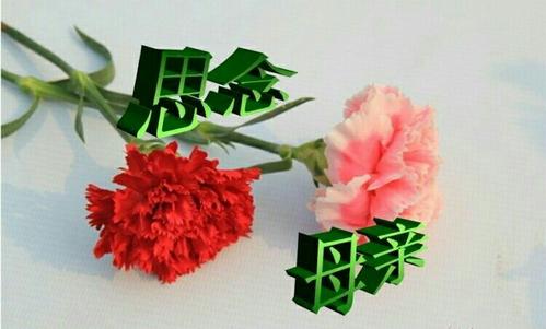 总是不变，是母亲的笑容_450字