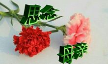 永远不变的，是妈妈的微笑_450字