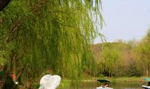 2011年江苏南通中考作文题目：那一刻，我的世界春暖花开