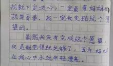 假如我是一个小偷_1500字