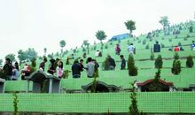 清明节习俗：扫墓