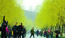 清明节习俗：踏青