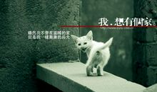 我想有个家_1200字