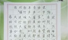 茅盾青少年文学院海选优秀作品：北巡记