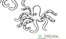 八爪章鱼的自我介绍_358字