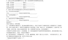 致藤野先生_600字