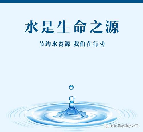 保护白鹭_550字的提案
