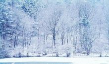 美丽在冬季_150字