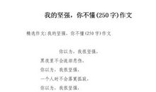 我不懂_250字