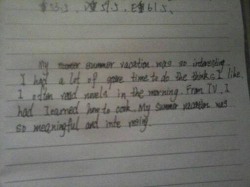如何过说明英文作物_250字