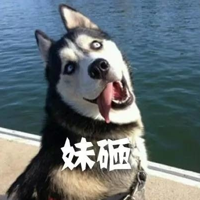 dog_400字
