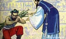 历史典故：杨布打狗