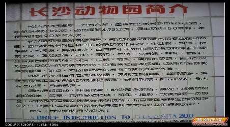 让我们陪自己到动物园和烈士公园_1000字