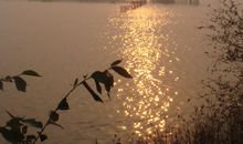 迷人的夕照_350字