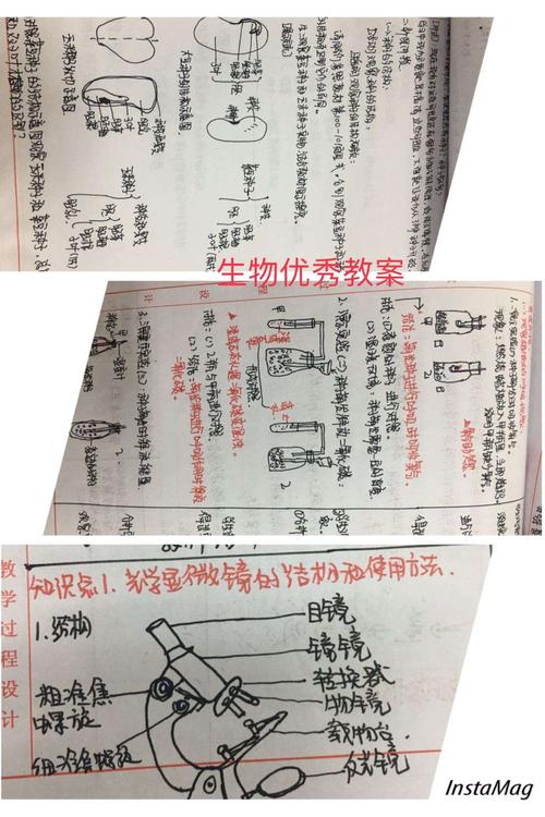 [2020高考论文初中集团]东浦吴（评论）_1200字