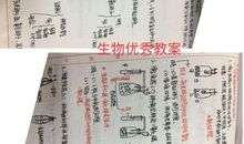 [2020年高考征文初中组]东坡悟（点评）_1200字