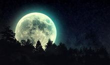 泗溪，人间仙境_450字