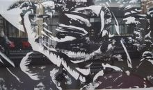 淮河岸边一棵大神柳