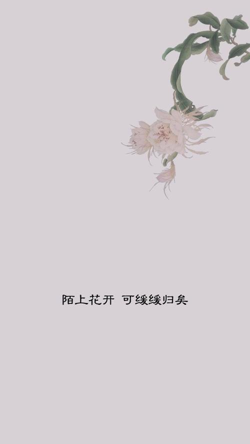 鲜花盛开，可以慢慢返回_1200字