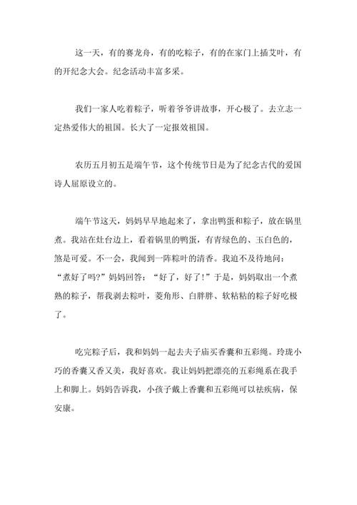 龙舟节_300字