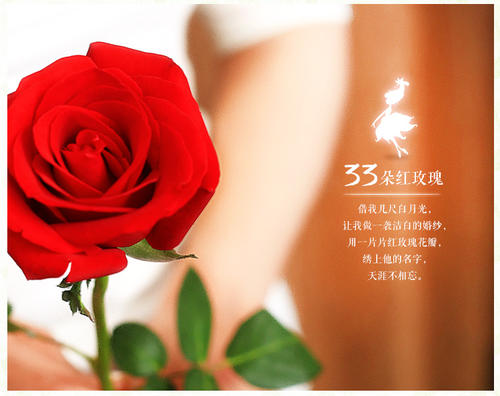 我寄了一位老师，红玫瑰_450字