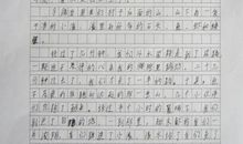 关于冲动的作文：冲动的惩罚_650字