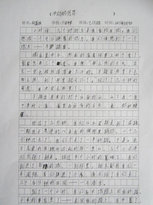 关于脉冲组成：冲动惩罚_1200字