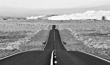 忧郁的曲线_700字