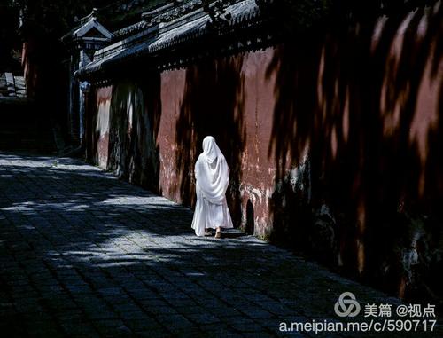 多年来，夸张年_300字